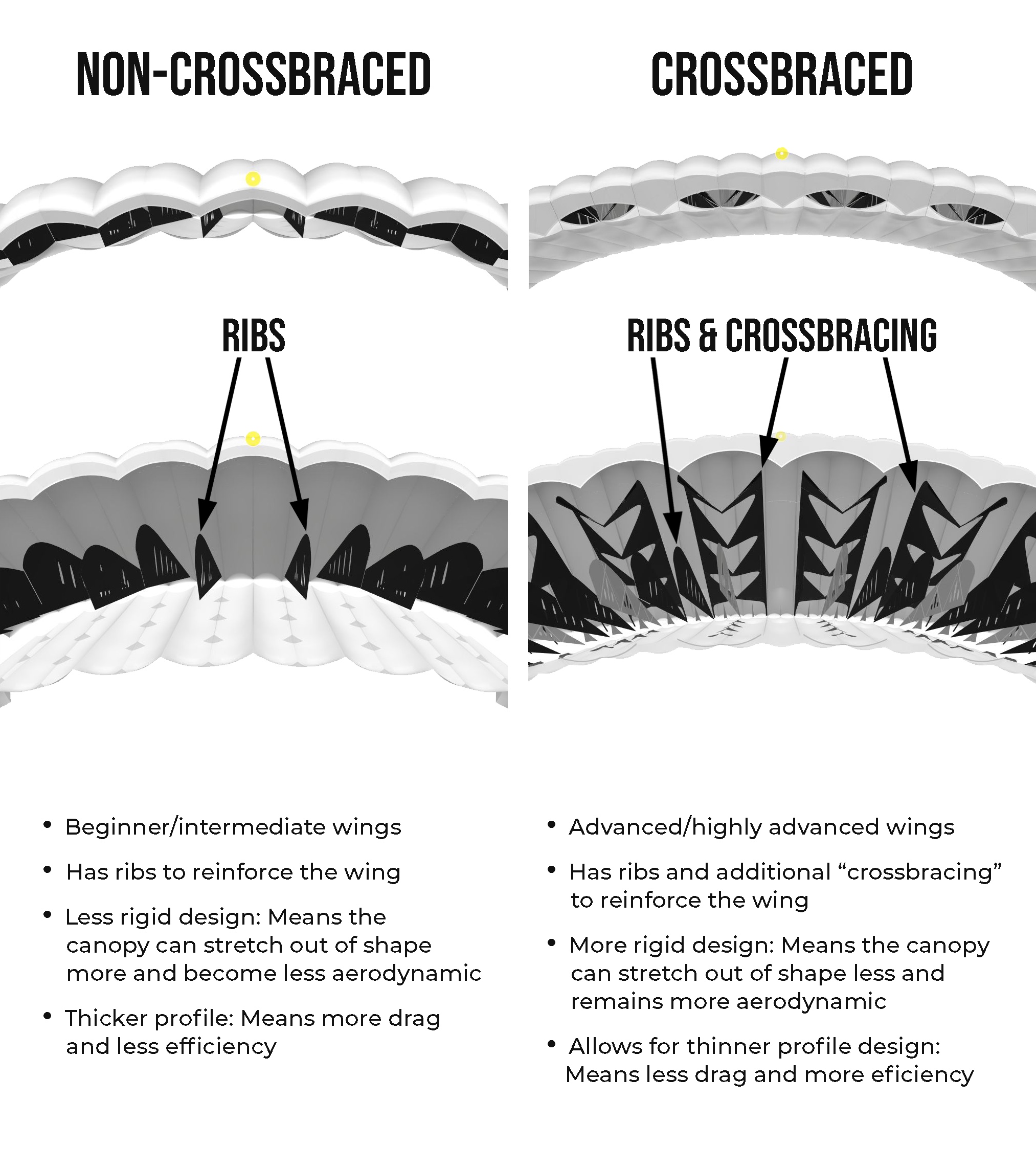 What are the Different Canopy Types? NZ Aerosports